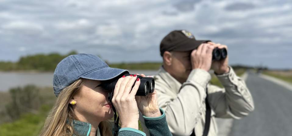 Darley at Bombay Hook
