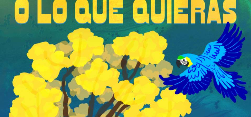 Delaware Shakespeare Summer Festival: Twelfth Night, O Lo Que Quieras