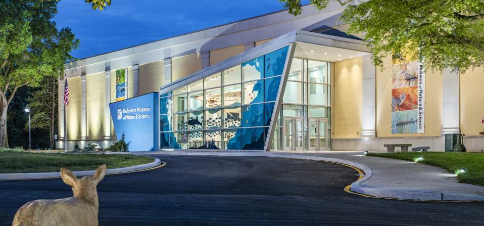 Delaware Museum of Nature and Science