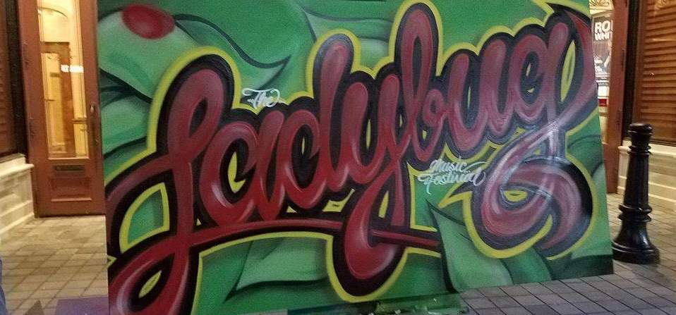 The Ladybug Music Festival