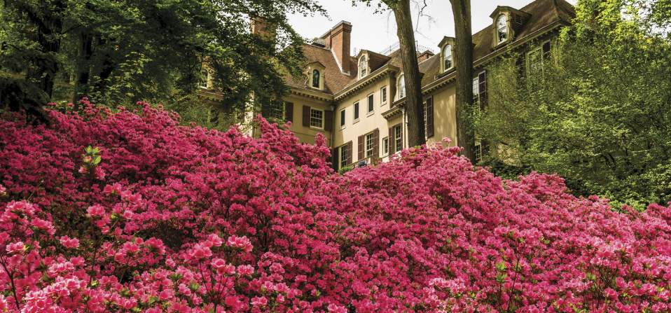 Winterthur Museum, Garden & Library