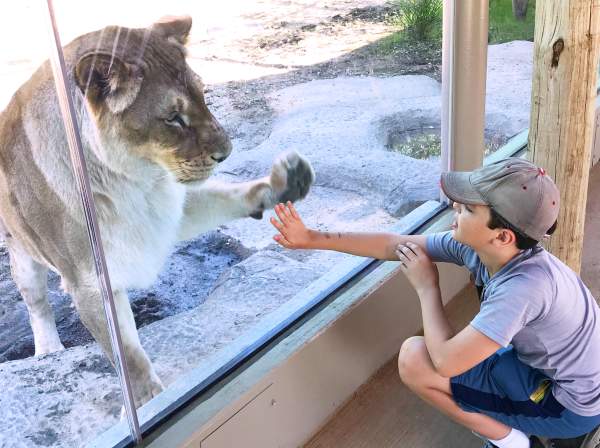 Summer Break Starts Here: 7 Family Adventures in Summit County