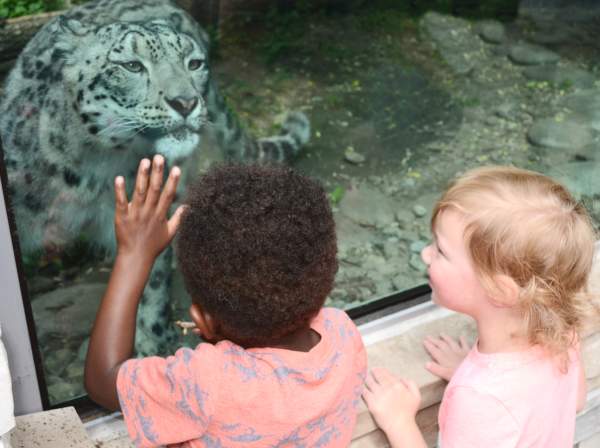 Discover Endless Adventures at Akron Zoo: A Year-Round Family-Friendly Destination