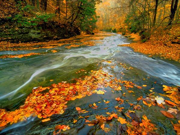 Must-Do Fall Activities in Akron and Summit County