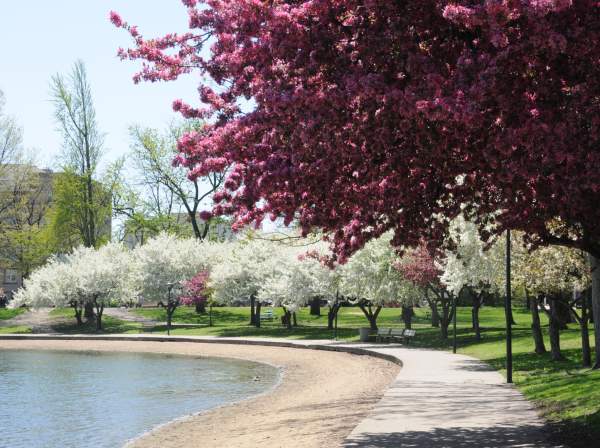 Celebrate the Season with These Unforgettable Spring Activities in Akron and Summit County