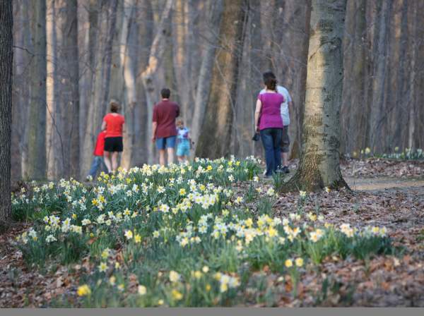 Best Places to See Spring Blooms in Summit County