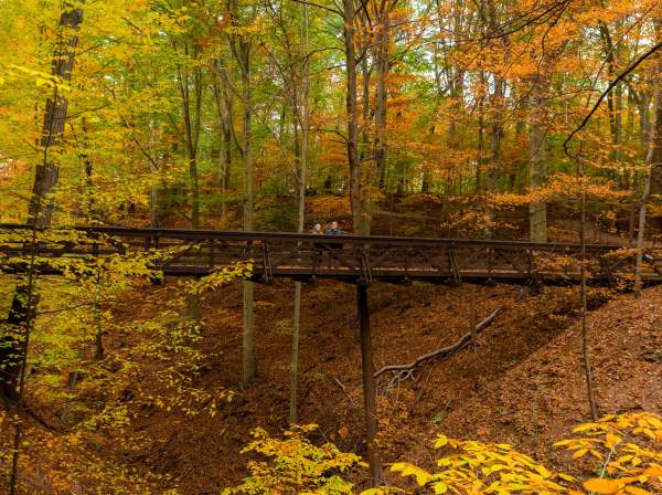 Green Spaces & Growing Minds: Summit County’s Plant Enthusiasts and Young Explorers