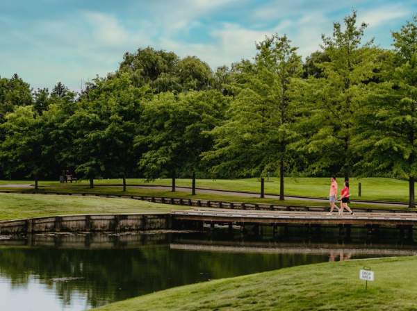people walking in a park