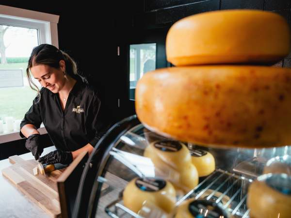 woman cutting cheese