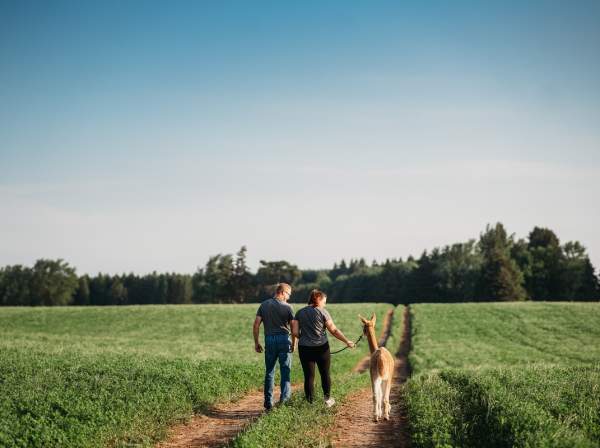 Udderly ridiculous farm life