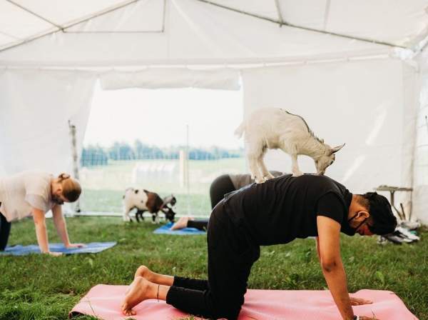 The Best Ontario Experiences to Enjoy in Oxford this Summer