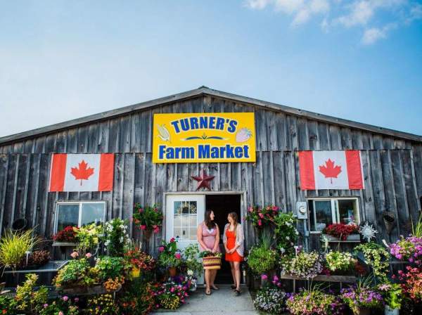 Turner's Farm Market