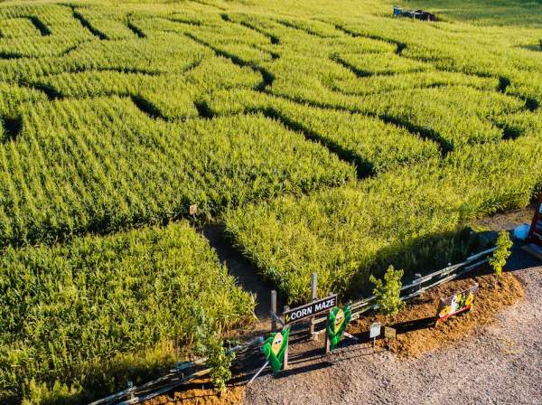 Snyder's Family Farm