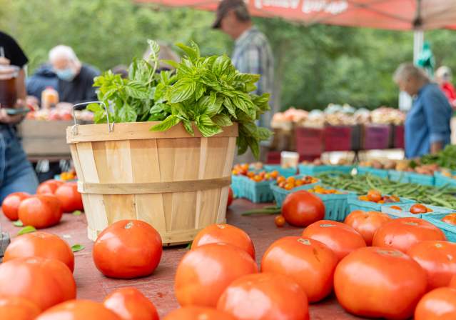 Tomatoes and an edible garden plant at the Burke Famers Market