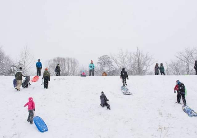 sledding