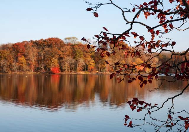 Burke Lake- Fall Foliage