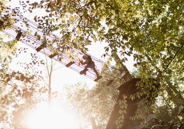 Girl on the tree top zipline course.