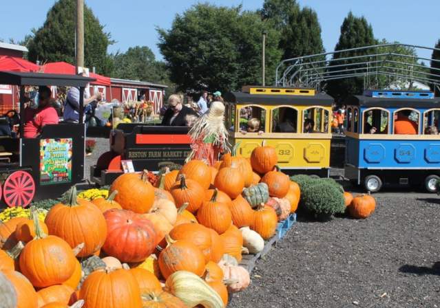 Fall Bucket List Blog Header