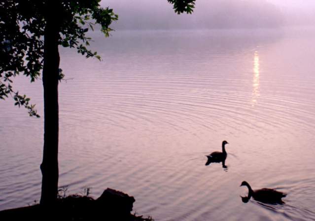 Burke, Clifton and Lorton Outdoor Attractions