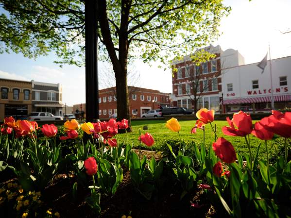 Bentonville Square with Tulips