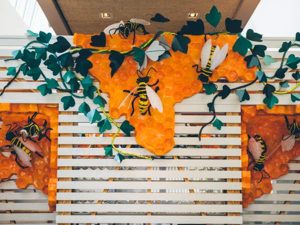 The Hive at 21C Museum Hotel in Bentonville Arkansas featuring bumble bee themed walls