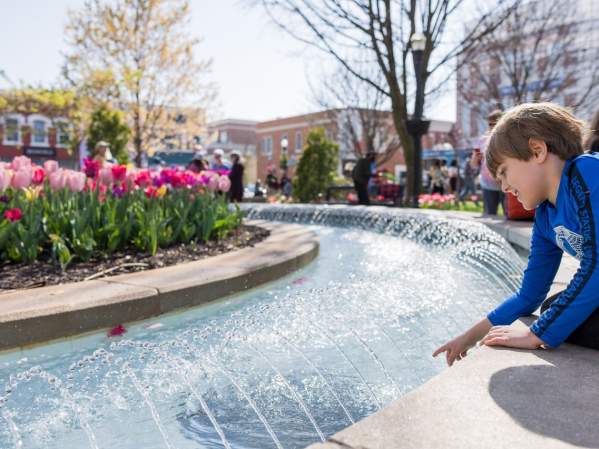 Spring at the Square