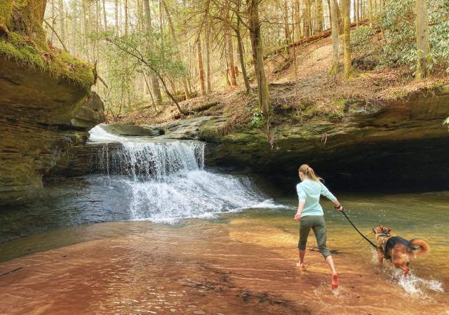 3 Red River Gorge Hiking Trails Explorekywildlands