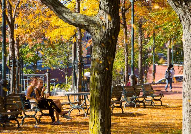 Autumn Eats: Your Guide to Fall Dining in Providence