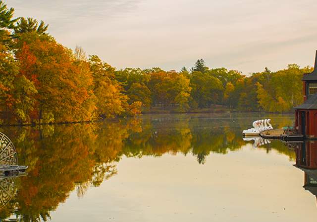 Leaf Peepers Rejoice!