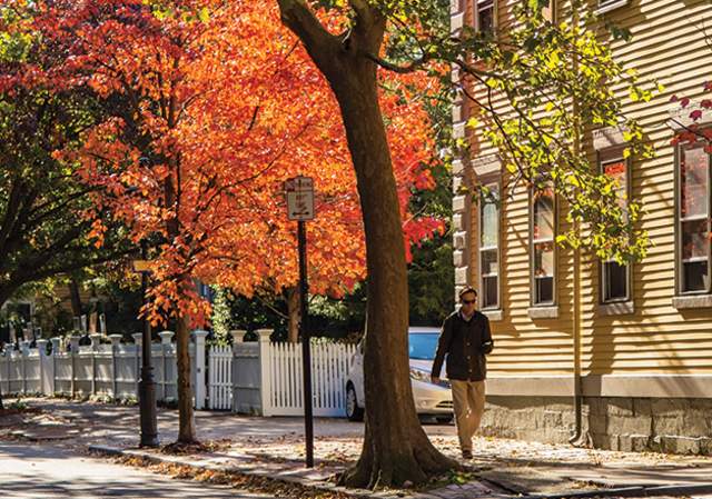 Buy Local for Thanksgiving: 5 Holiday Essentials