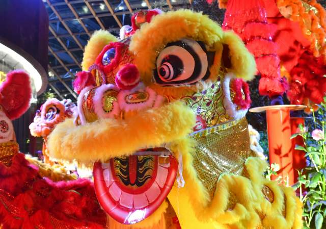 Celebrate Lunar New Year in the Providence Area