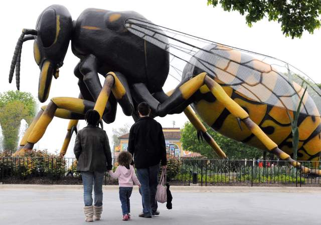 A Bug’s World Sensory-friendly Mornings