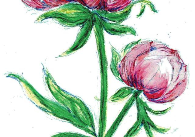 Nature Drawing at Blithewoldwith Artist/Instructor Joanne Murrman, BFA, M.Ed.