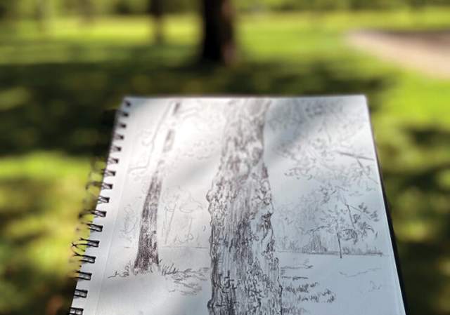 Getural Landscape:  Charcoal Sketching in the Gardens