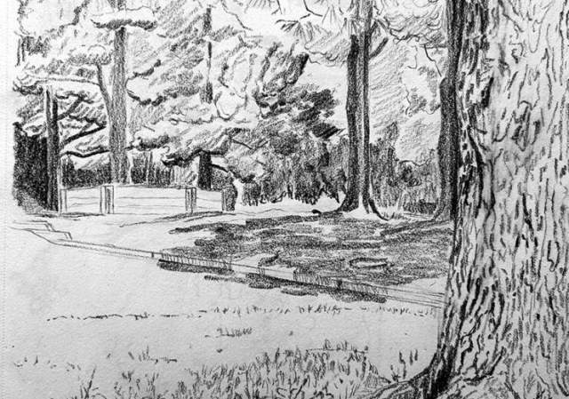 Grounded in Nature:  A Mindful Plein Air Sketching Workshop