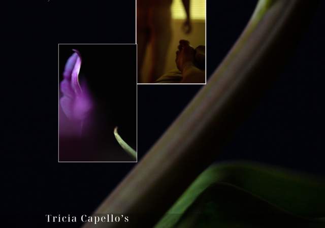ReWriting Love - A Serenade of Poetry & Photography - Exhibit by Tricia Capello