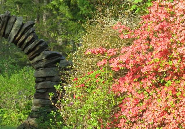 Arbor Day at Kinney Azalea Gardens