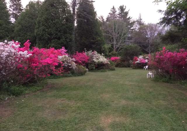 Fairy Party and Parade at Kinney Azalea Gardens