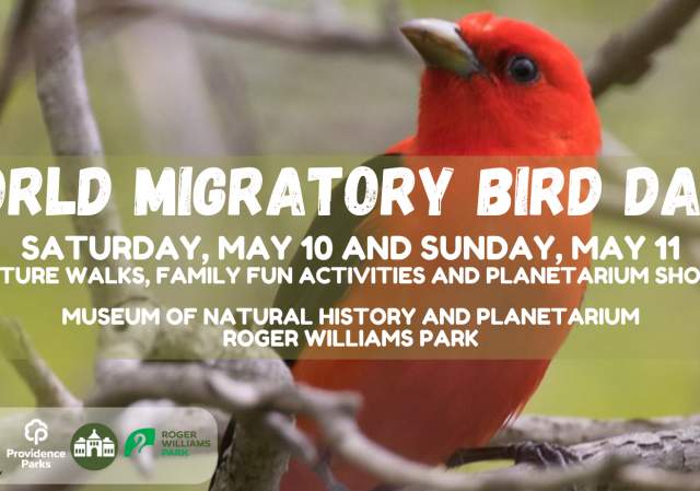 Museum of Natural History and Planetarium World Migratory Bird Days
