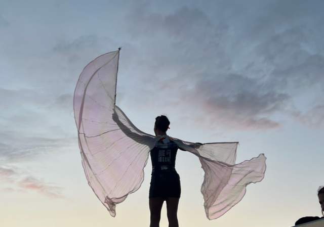 The Bristol Art Museum's Flights of Imagination