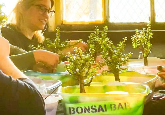 Bonsai Bar Workshop at Jordan's Jungle