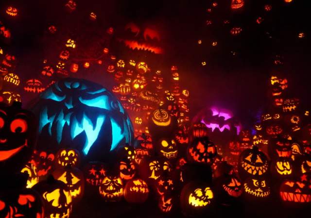 Jack-O-Lantern Spectacular: Trivia Edition