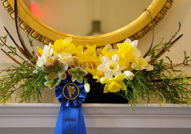 Daffodil Delights: Daffodil Society of Rhode Island Show