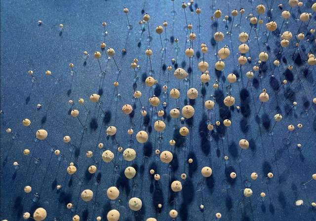 Bristol Art Museum Presents The Persistence of Hand: Material Stories – Time + Material + Hand Labor
