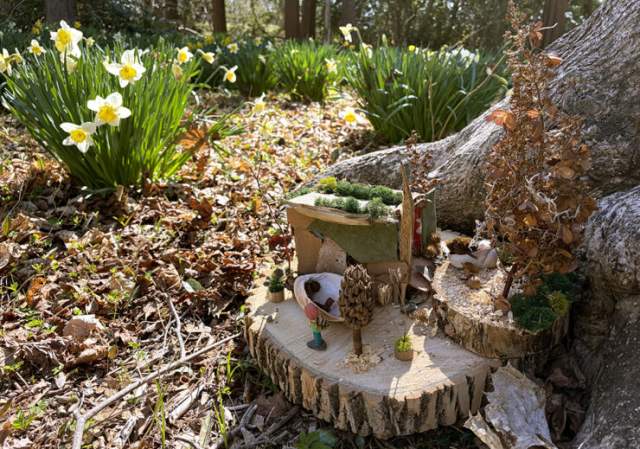 Fairy House Workshop
