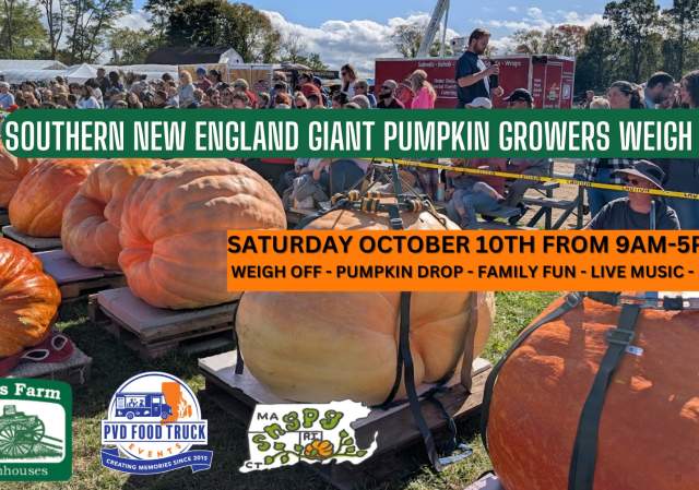 Southern New England Pumpkin Growers Weigh Off