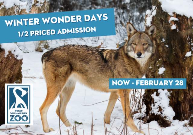 Winter Wonder Days - 1/2-Priced Admission