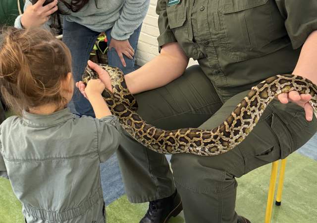 Slithering Snakes at Providence Children's Museum