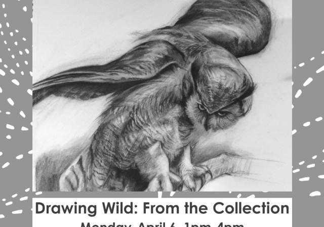 Drawing Wild - From the Collection