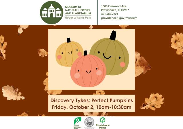 Discovery Tykes at the Museum of Natural History